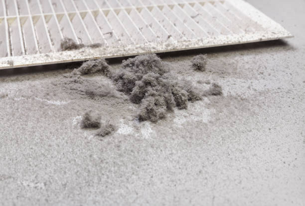 Best Professional Duct Cleaning Services  in Villa Hills, KY